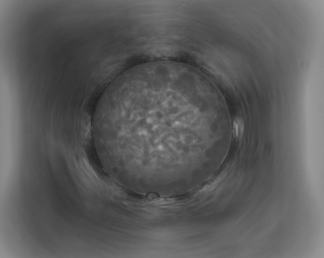 X0000113301251200909281057