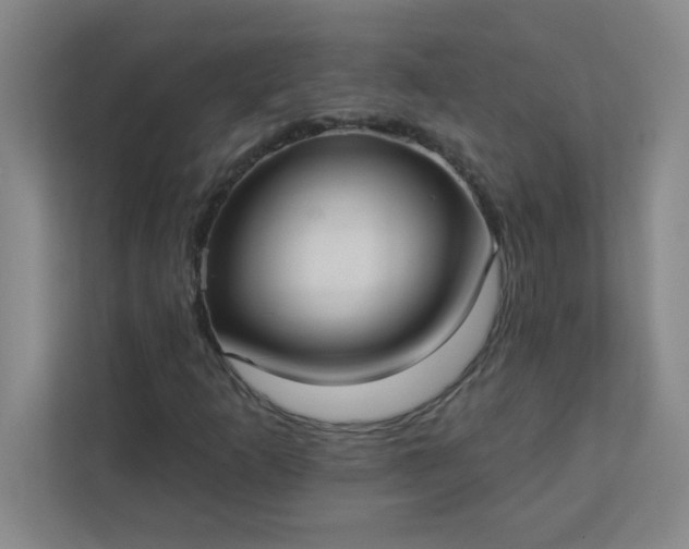 X0000113301253200909281057