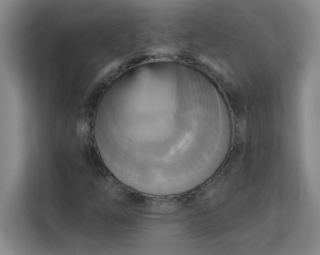 X0000113301254200909281057