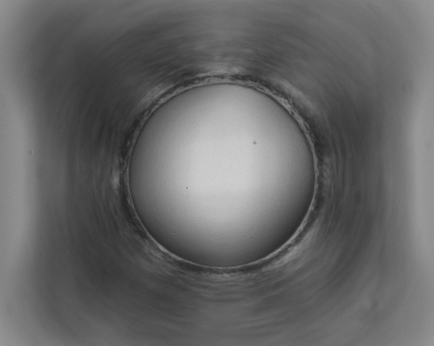 X0000113301257200909281057