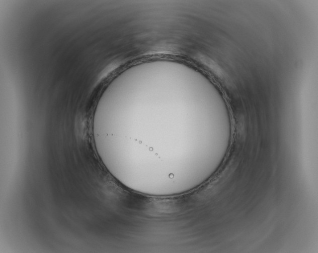 X0000113301258200909281057