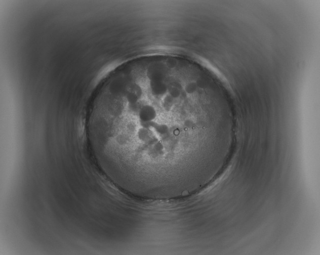 X0000113301259200909281057