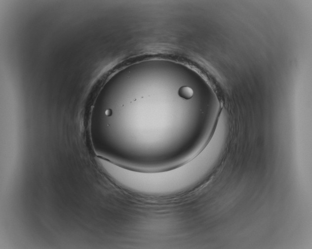 X0000113301261200909281057