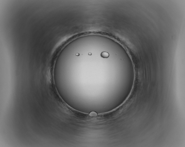 X0000113301262200909281057