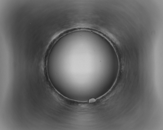 X0000113301264200909281057