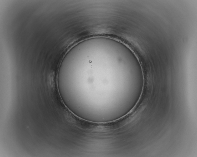 X0000113301265200909281057