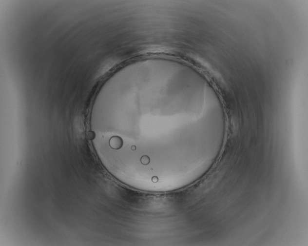 X0000113301266200909281057