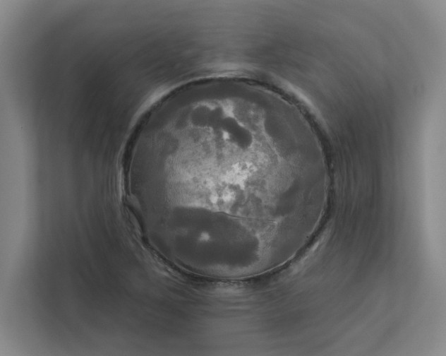 X0000113301267200909281057