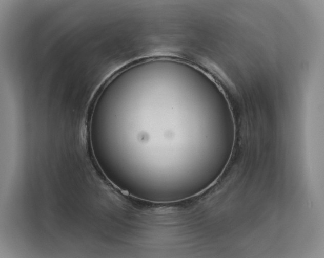 X0000113301268200909281057