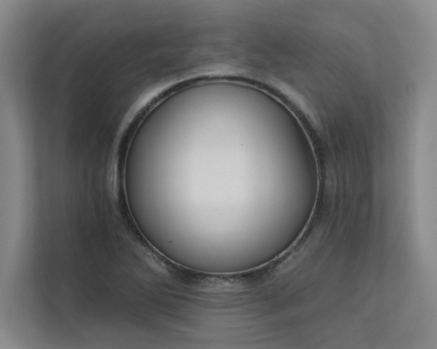 X0000113301270200909281057