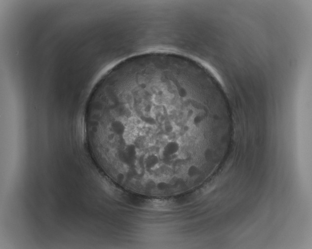 X0000113301271200909281057