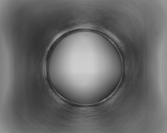 X0000113301272200909281057