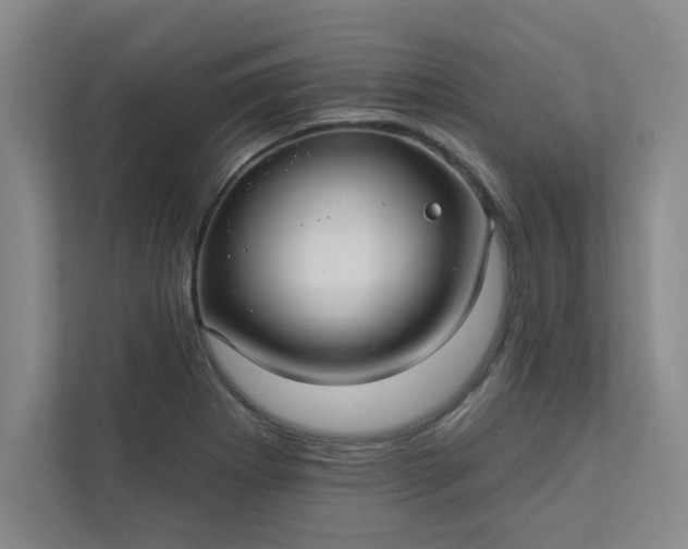 X0000113301273200909281057