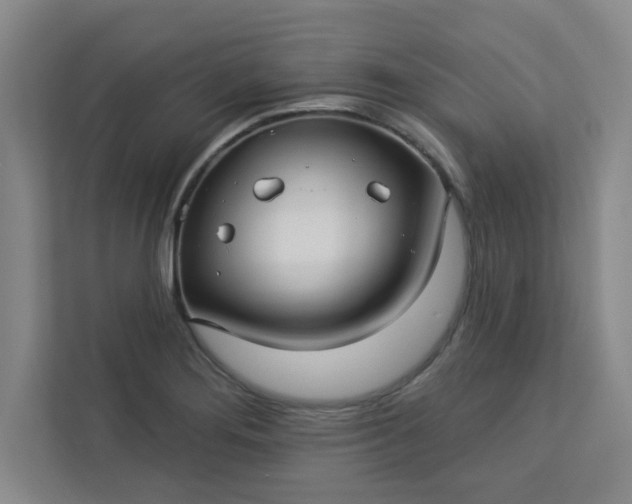 X0000113301276200909281057