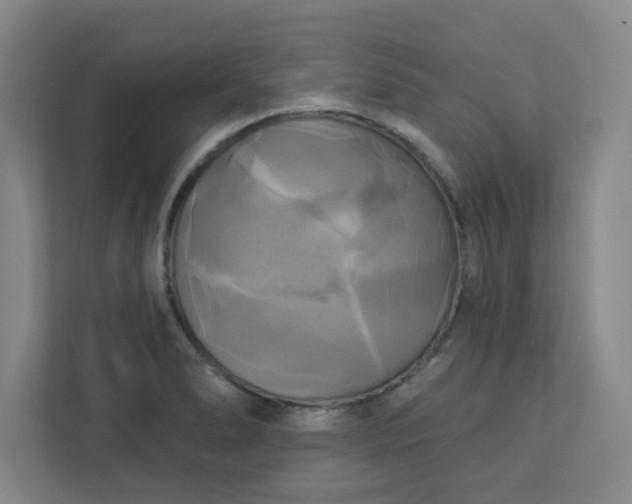 X0000113301278200909281057