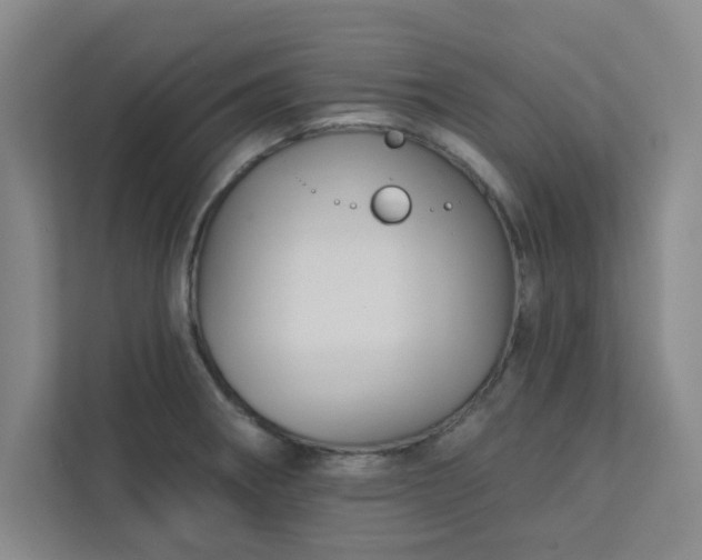 X0000113301282200909281057