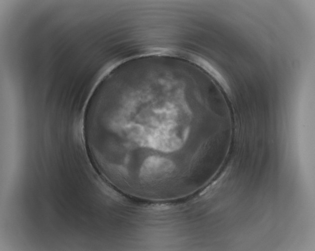 X0000113301283200909281057