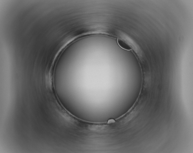 X0000113301284200909281057