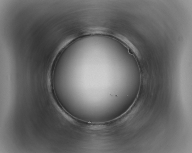 X0000113301285200909281057