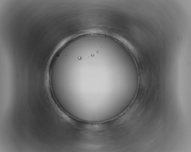 X0000113301286200909281057