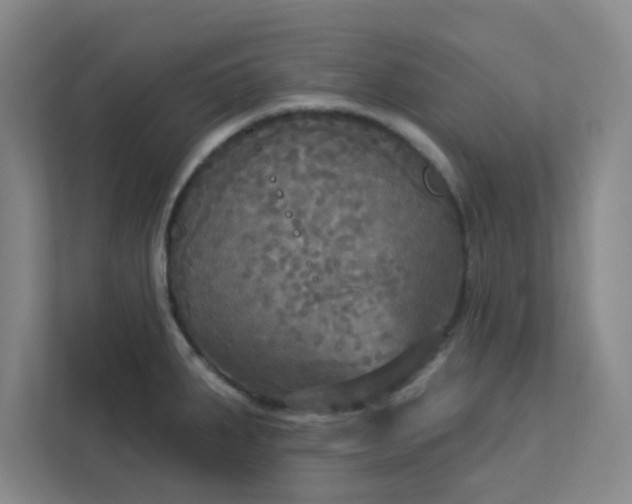 X0000113301287200909281057