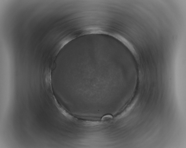 X0000113301289200909281057