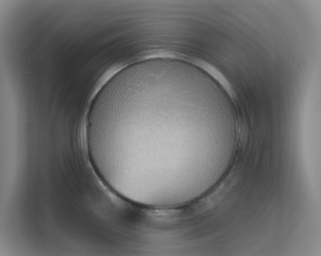 X0000113301290200909281057