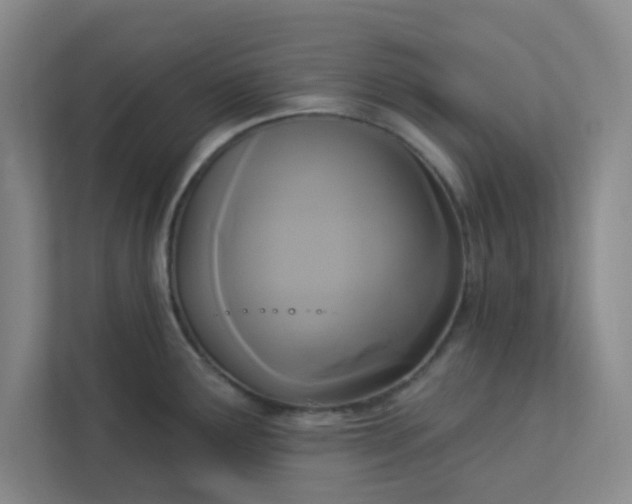 X0000113301291200909281057