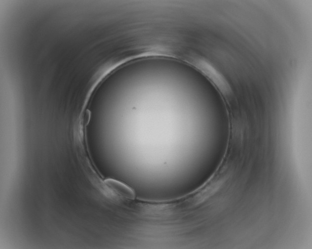 X0000113301292200909281057