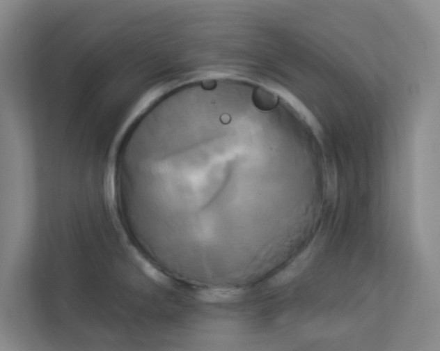 X0000113301294200909281057