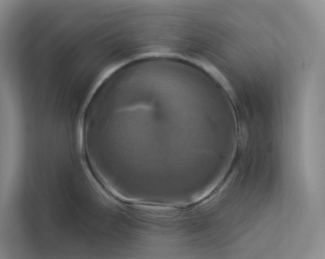 X0000113301295200909281057