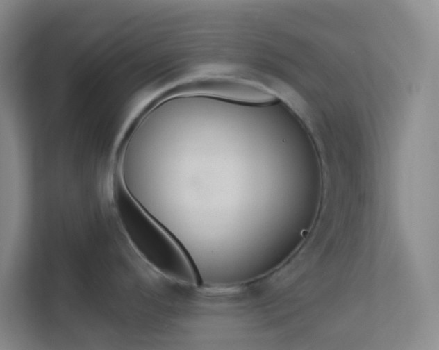 X0000113301296200909281057