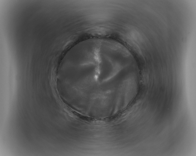 X0000113301297200909281056