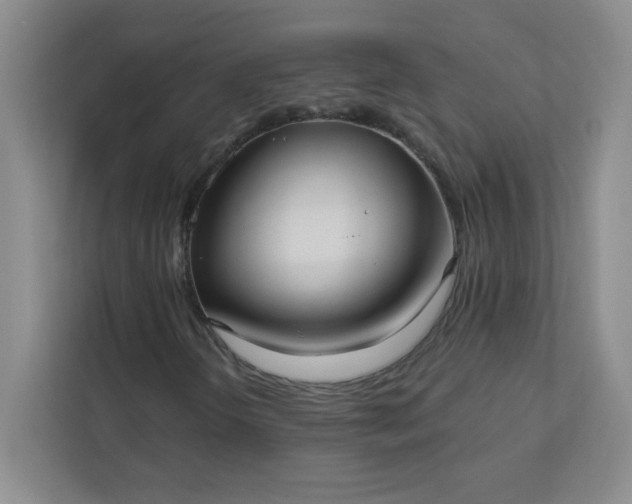 X0000113301298200909281056