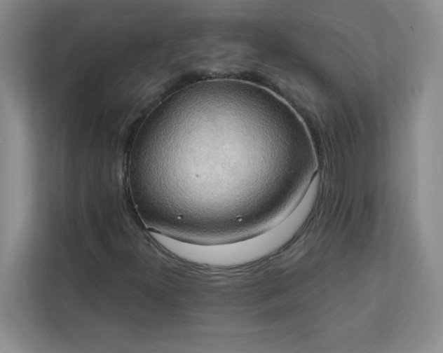 X0000113301300200909281056