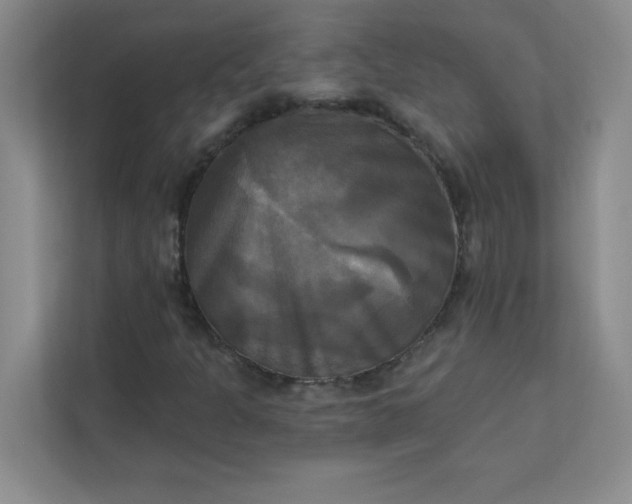 X0000113301301200909281056