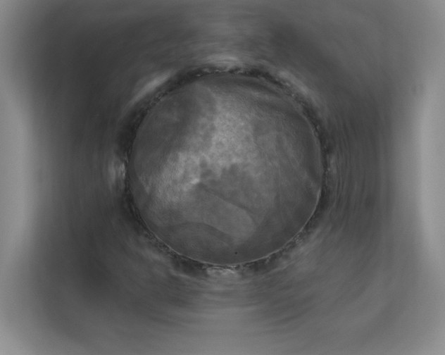 X0000113301302200909281056