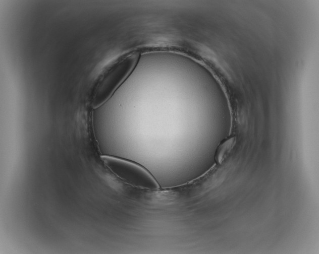 X0000113301304200909281056