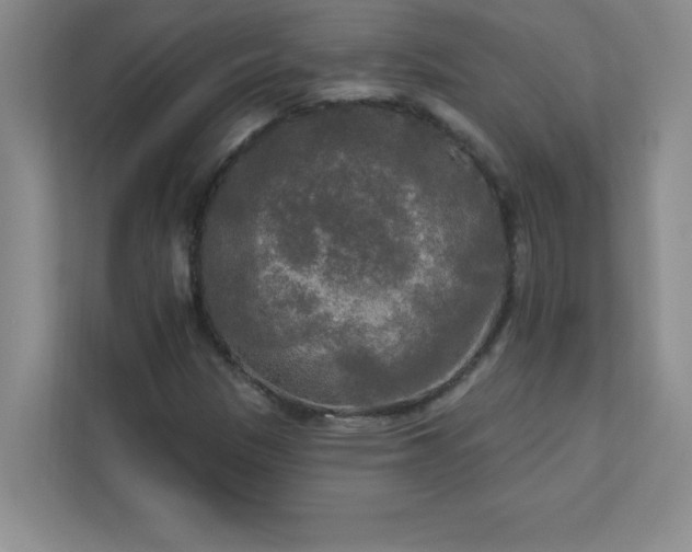 X0000113301305200909281056