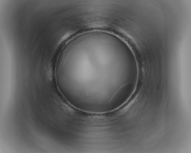 X0000113301306200909281056