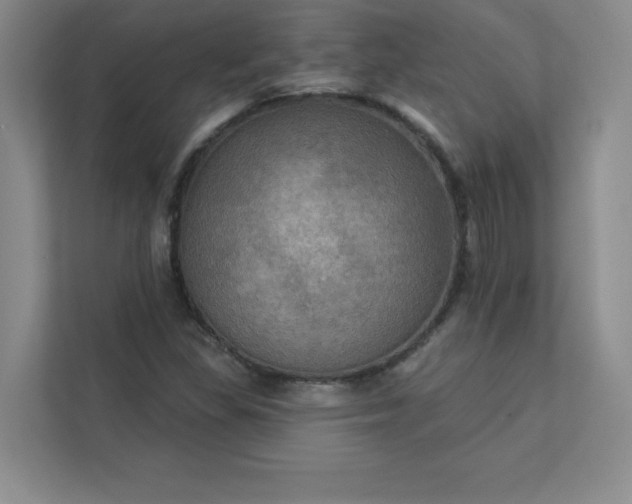 X0000113301309200909281056