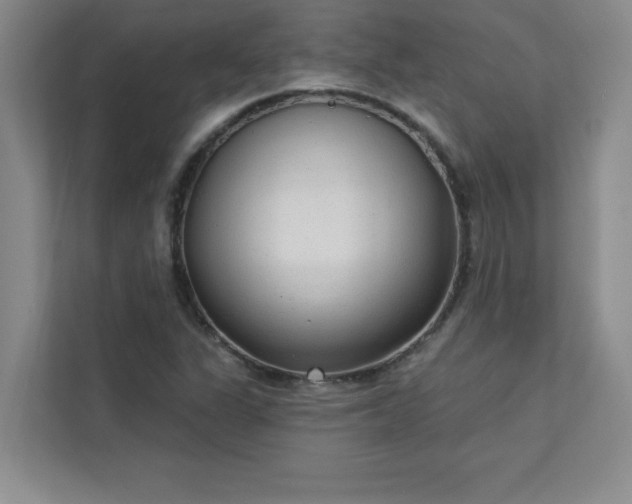 X0000113301311200909281056