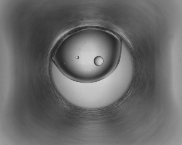 X0000113301312200909281056