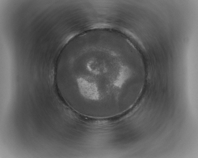 X0000113301313200909281056