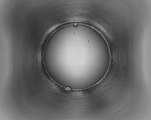 X0000113301315200909281056