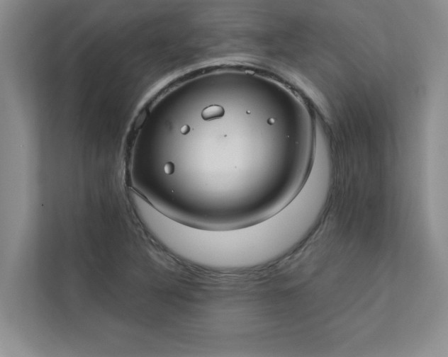 X0000113301316200909281056