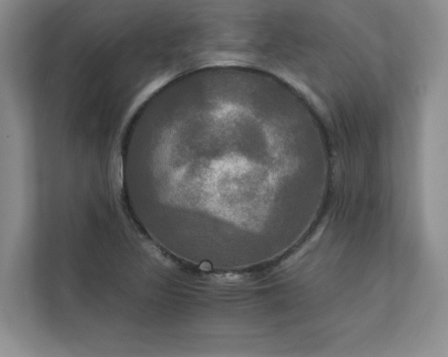 X0000113301317200909281056