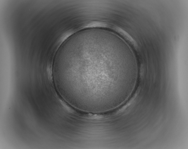 X0000113301321200909281056