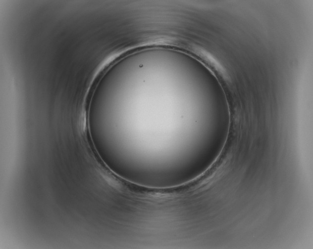 X0000113301324200909281056