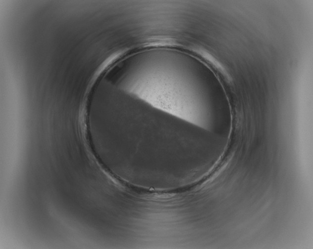 X0000113301325200909281056